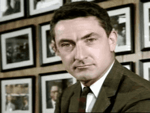 Al Hibbs